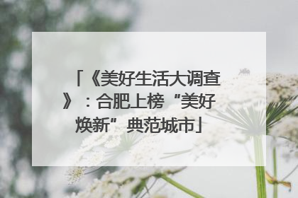 《美好生活大调查》：合肥上榜“美好焕新”典范城市