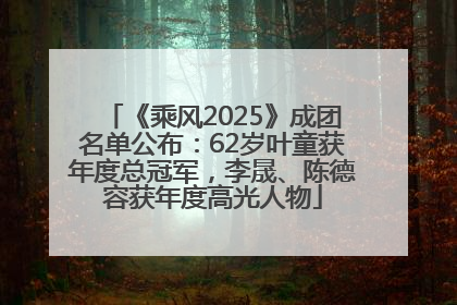 《乘风2025》成团名单公布：62岁叶童获年度总冠军，李晟、陈德容获年度高光人物