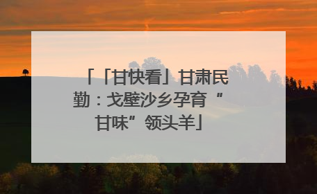 「甘快看」甘肃民勤：戈壁沙乡孕育“甘味”领头羊