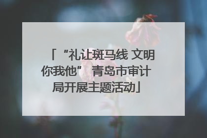 “礼让斑马线 文明你我他” 青岛市审计局开展主题活动