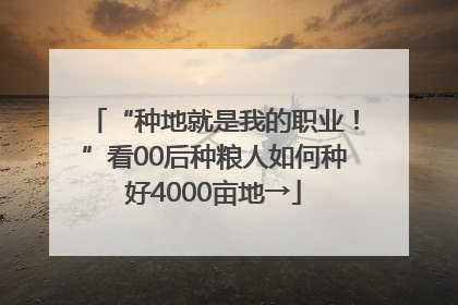 “种地就是我的职业！”看00后种粮人如何种好4000亩地→