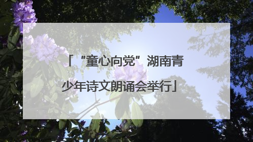 “童心向党”湖南青少年诗文朗诵会举行