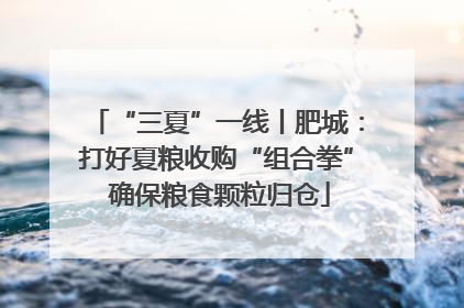 “三夏”一线丨肥城：打好夏粮收购“组合拳” 确保粮食颗粒归仓