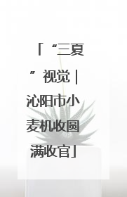 “三夏”视觉｜沁阳市小麦机收圆满收官