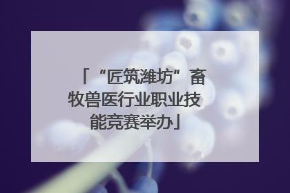 “匠筑潍坊”畜牧兽医行业职业技能竞赛举办