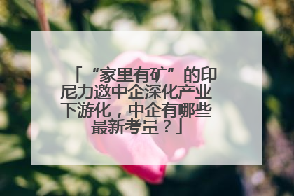 “家里有矿”的印尼力邀中企深化产业下游化，中企有哪些最新考量？