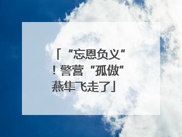 “忘恩负义”！警营“孤傲”燕隼飞走了