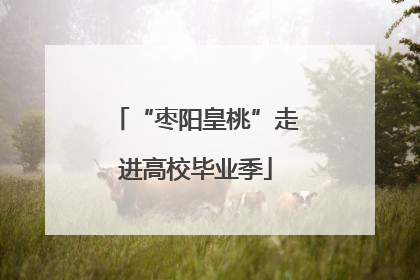 “枣阳皇桃”走进高校毕业季