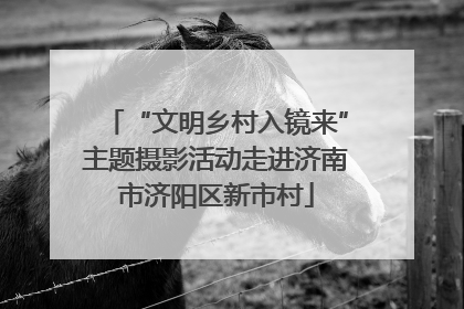 “文明乡村入镜来”主题摄影活动走进济南市济阳区新市村