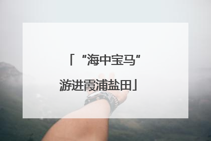 “海中宝马”游进霞浦盐田