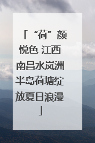 “荷”颜悦色 江西南昌水岚洲半岛荷塘绽放夏日浪漫