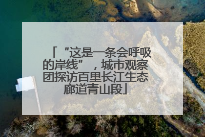 “这是一条会呼吸的岸线”，城市观察团探访百里长江生态廊道青山段