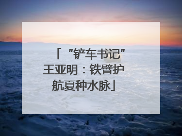 “铲车书记”王亚明：铁臂护航夏种水脉