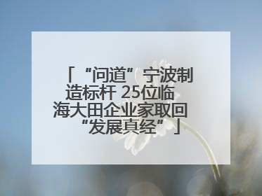 “问道”宁波制造标杆 25位临海大田企业家取回“发展真经”