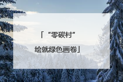 “零碳村” 绘就绿色画卷