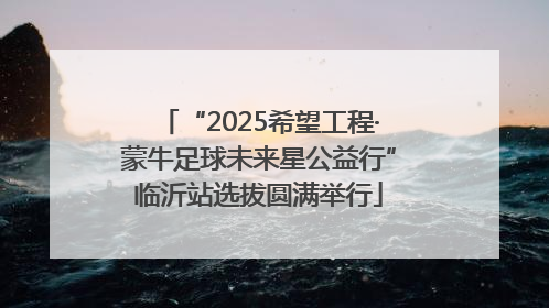 “2025希望工程·蒙牛足球未来星公益行”临沂站选拔圆满举行