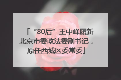“80后”王中峰履新北京市委政法委副书记，原任西城区委常委