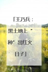 王乃兵：黑土地上“种”出红火日子
