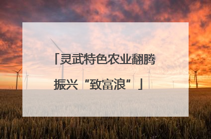 灵武特色农业翻腾振兴“致富浪”