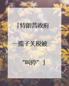 特朗普政府一揽子关税被“叫停”