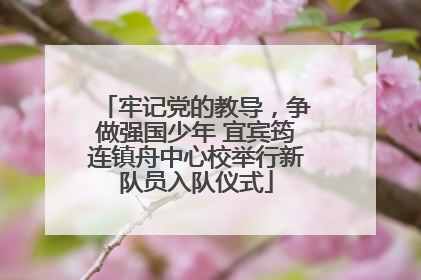 牢记党的教导，争做强国少年 宜宾筠连镇舟中心校举行新队员入队仪式