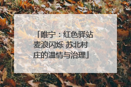 睢宁：红色驿站麦浪闪烁 苏北村庄的温情与治理