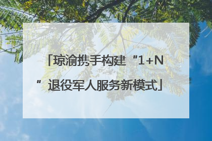 琼渝携手构建“1+N”退役军人服务新模式