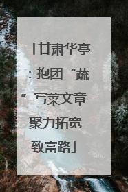 甘肃华亭：抱团“蔬”写菜文章 聚力拓宽致富路