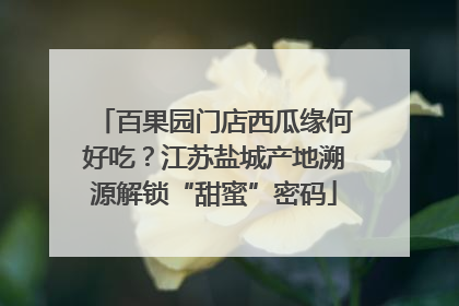 百果园门店西瓜缘何好吃？江苏盐城产地溯源解锁“甜蜜”密码