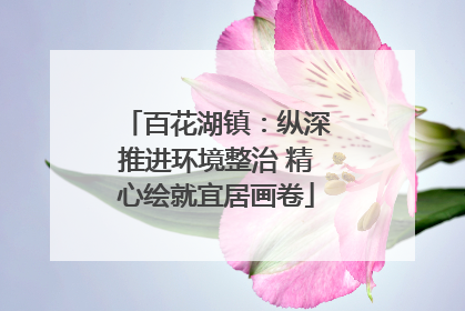 百花湖镇：纵深推进环境整治 精心绘就宜居画卷