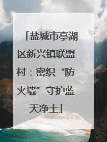 盐城市亭湖区新兴镇联盟村：密织“防火墙”守护蓝天净土