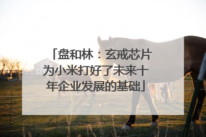 盘和林：玄戒芯片为小米打好了未来十年企业发展的基础