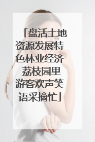 盘活土地资源发展特色林业经济 荔枝园里游客欢声笑语采摘忙