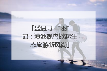 盛夏寻 “羽” 记：滇池观鸟掀起生态旅游新风尚