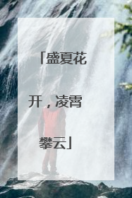 盛夏花开，凌霄攀云