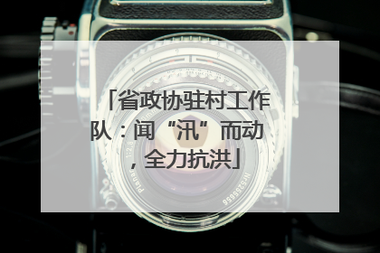 省政协驻村工作队：闻“汛”而动，全力抗洪