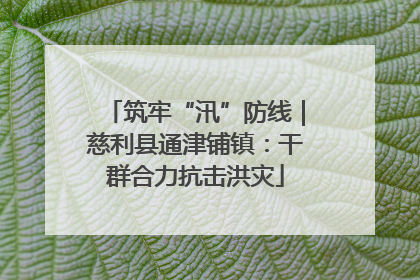 筑牢“汛”防线｜慈利县通津铺镇：干群合力抗击洪灾