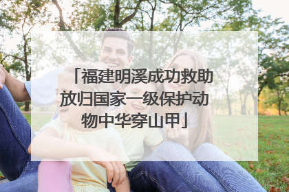 福建明溪成功救助放归国家一级保护动物中华穿山甲