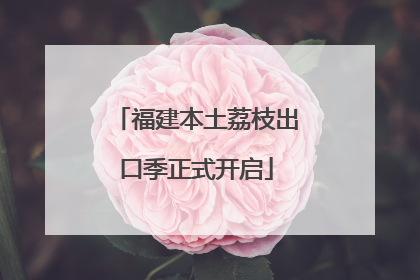 福建本土荔枝出口季正式开启
