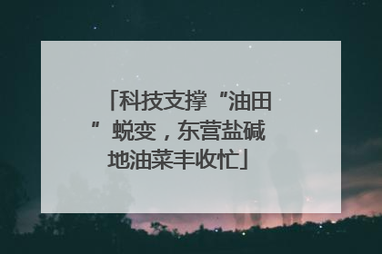 科技支撑“油田”蜕变，东营盐碱地油菜丰收忙