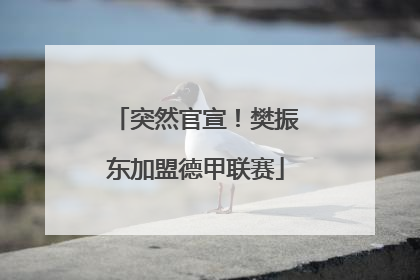 突然官宣！樊振东加盟德甲联赛