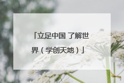 立足中国 了解世界（学创天地）