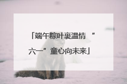 端午粽叶裹温情 “六一”童心向未来