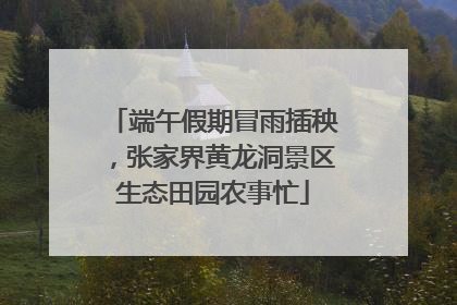 端午假期冒雨插秧，张家界黄龙洞景区生态田园农事忙