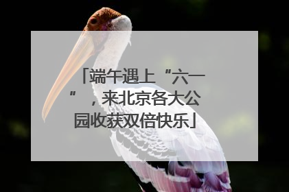 端午遇上“六一”，来北京各大公园收获双倍快乐