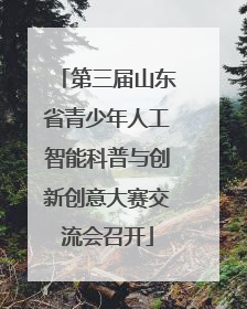 第三届山东省青少年人工智能科普与创新创意大赛交流会召开