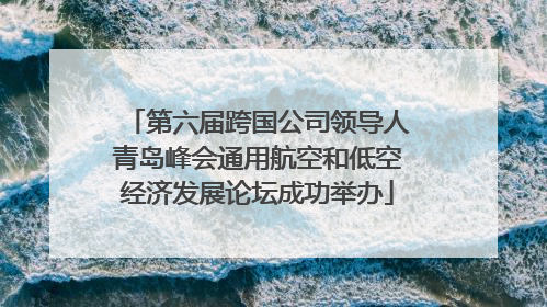 第六届跨国公司领导人青岛峰会通用航空和低空经济发展论坛成功举办