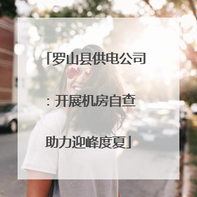 罗山县供电公司：开展机房自查 助力迎峰度夏