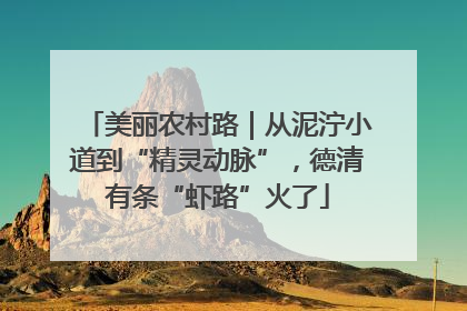 美丽农村路｜从泥泞小道到“精灵动脉”，德清有条“虾路”火了