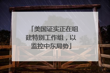 美国证实正在组建特别工作组，以监控中东局势